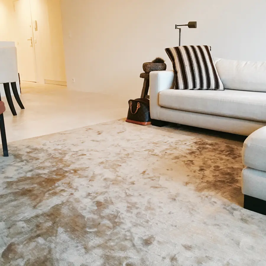 Woonkamer met sofa en vloerkleed. Tapijt van Van Ghent.