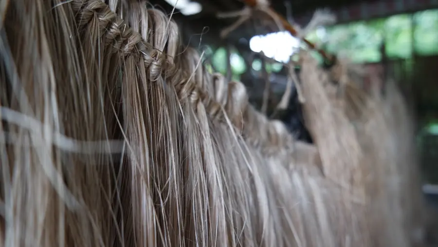 Abacavezel te drogen. Tapijt van Weave Manilla.